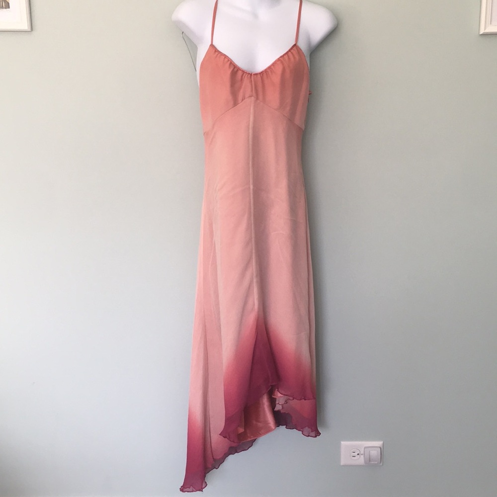 NWT Express Dress
